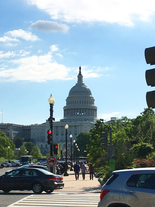 Members visit DC and meet with local officials and visit important DC landmarks.